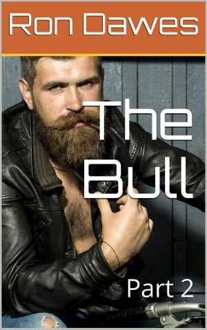 [The Bull 02] • The Bull 2